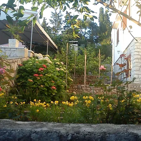 Apartment In 14985 Mali Losinj