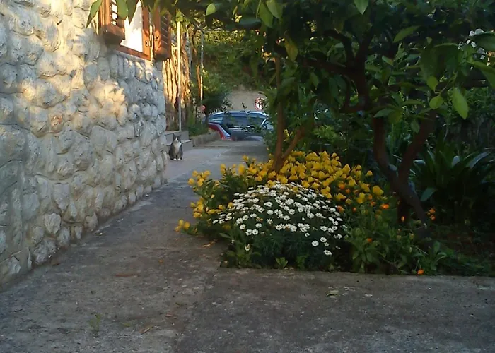 In 14985 Mali Lošinj